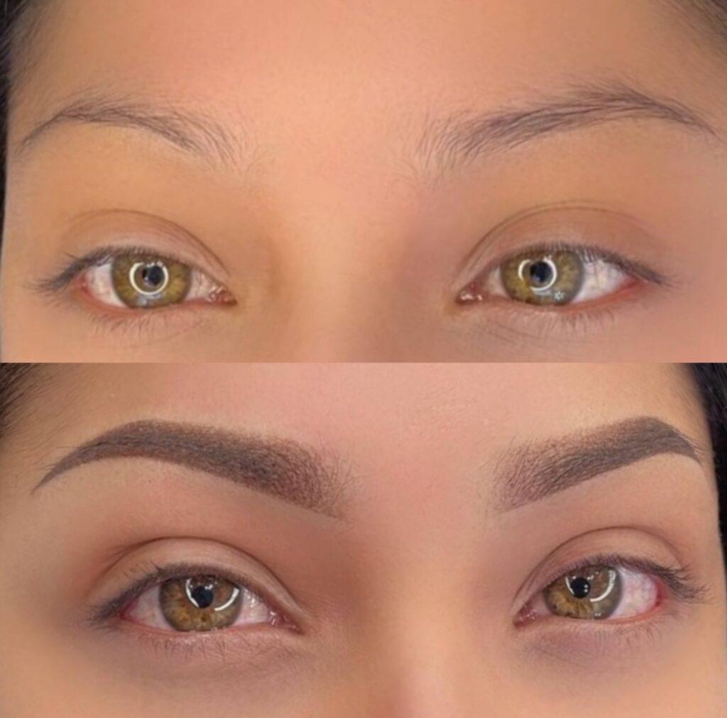 Ombre Powder Brows Training