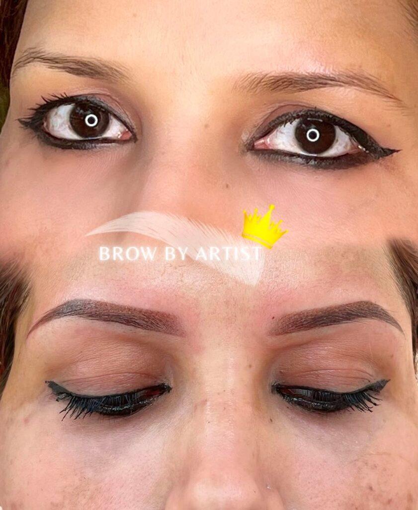 ombre powder brows training