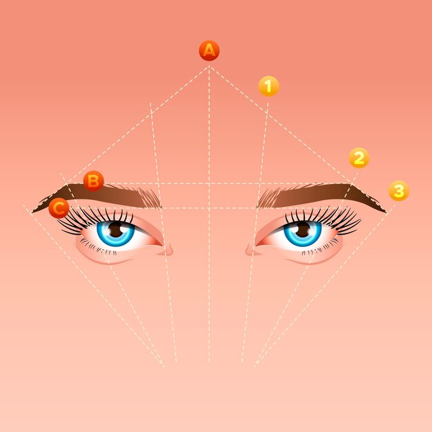 gradient-brow-mapping-illustration